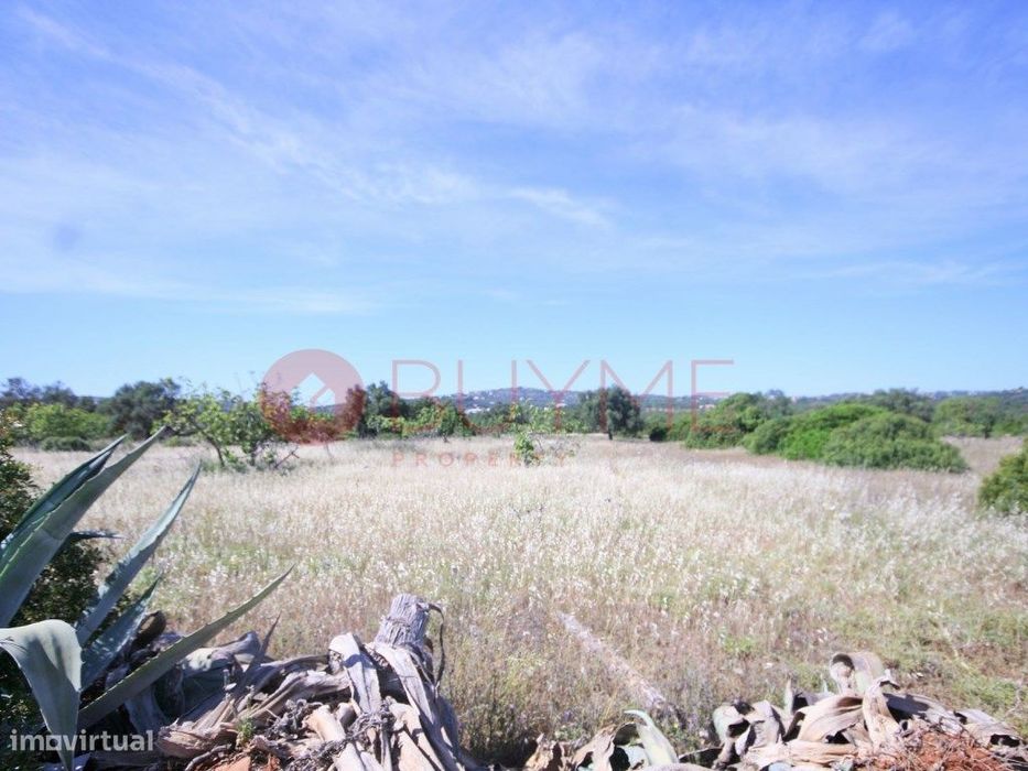 Terreno Rústico - Loulé