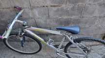 Bicicleta esmaltina