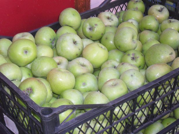 Яблука симеренка 10 кг