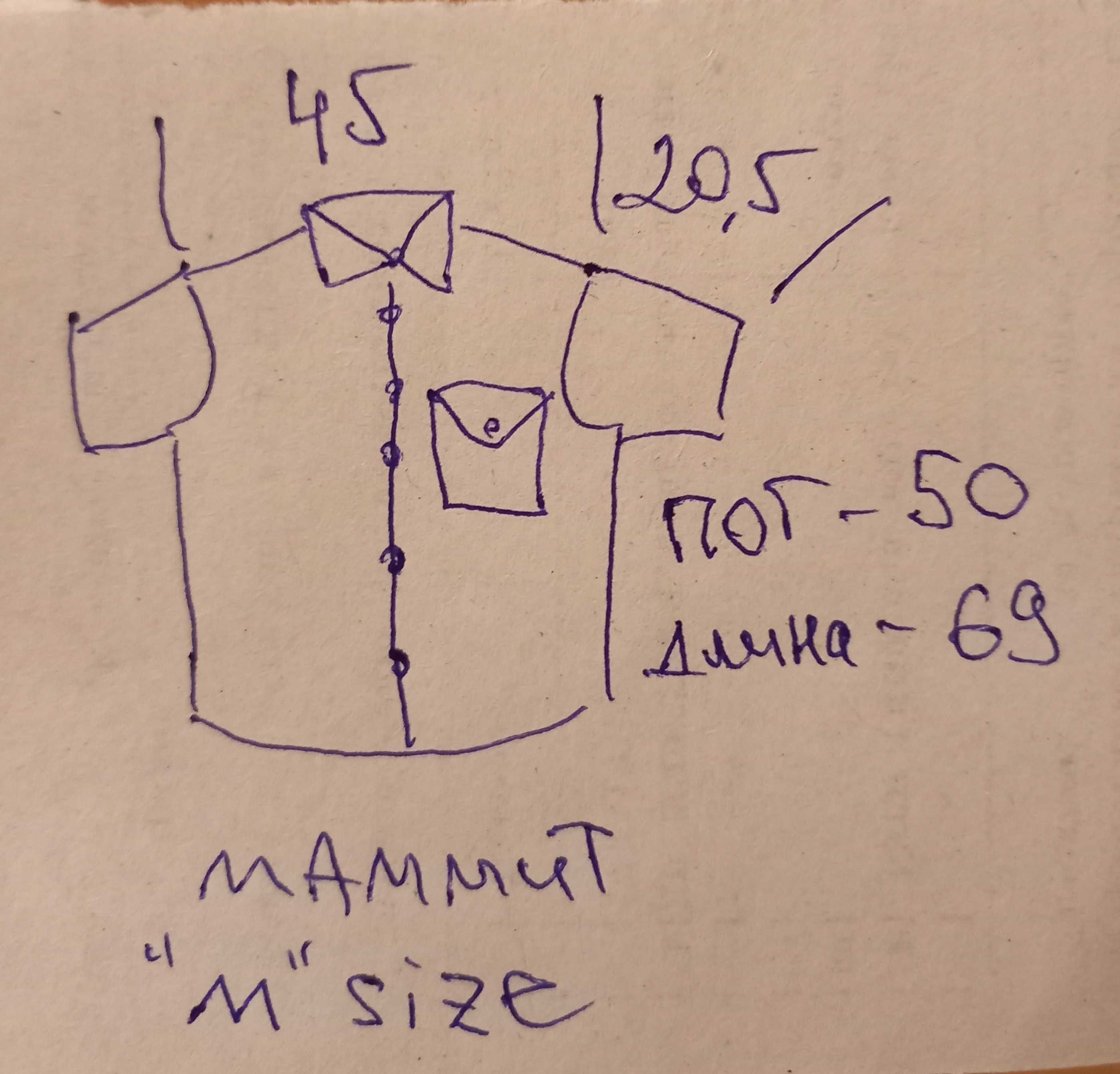 Мужская рубашка летняя трекинговая Salewa dry ton Mammut