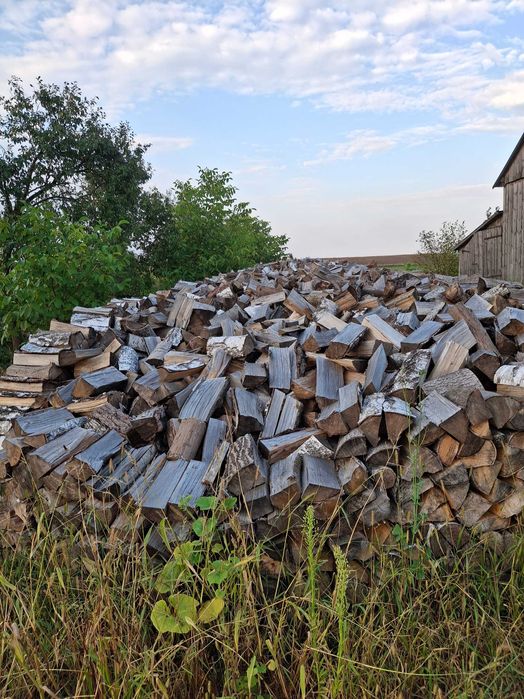 DREWNO opałowe do kominka BRZOZA OSIKA SOSNA suche porąbane
