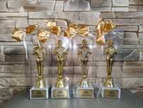 Zestaw statuetek dla starostów, oscar starosta i starościna, 4 sztuki
