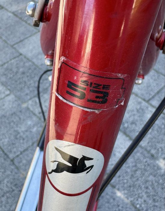 Rower trekkingowy Pegasus Solero rozm. 53