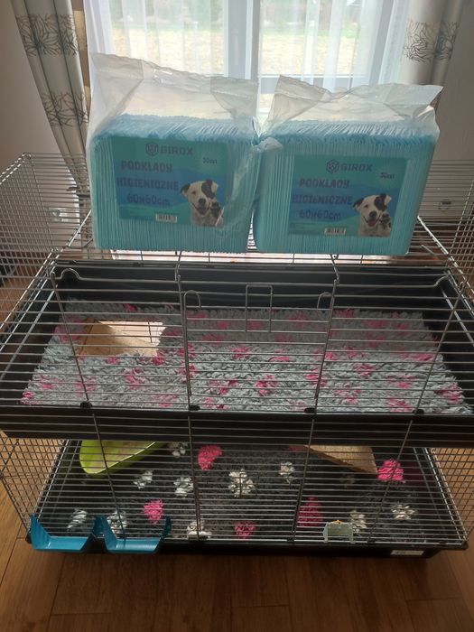 Duża klatka piętrowa 120 cm x 60 cm dla świnki morskiej, królika