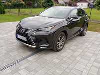 Lexus NX BEZWYPADKOWY, mały przebieg