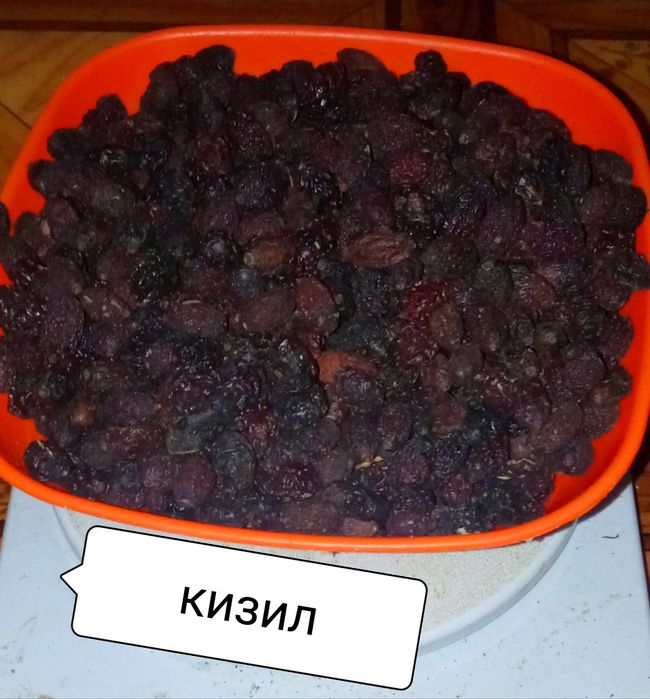 Сушка. Сухофрукты. Абрикос. Груша. Зизифус. Кизил.