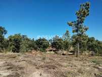 Terreno com 50000m2, com possibilidade de implantação de 19000m2