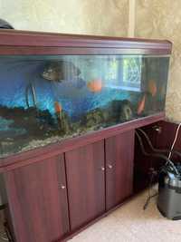 Продажа действующего  аквариума на 400 литров вместе  с рыбками
