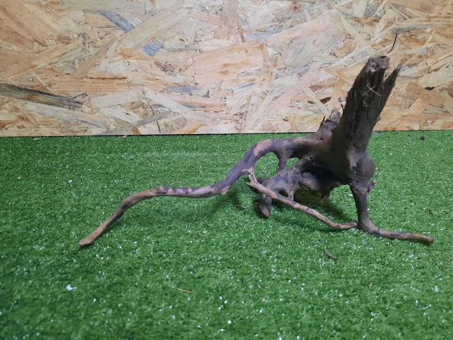 Korzeń do akwarium Red Moore Wood nr 889 o wymiarach 30/15/16