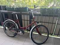 Rower Jubilat 2 PRL