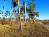Продаж ділянки 3,64га під садівництво в с.Кам'янка(26139600)