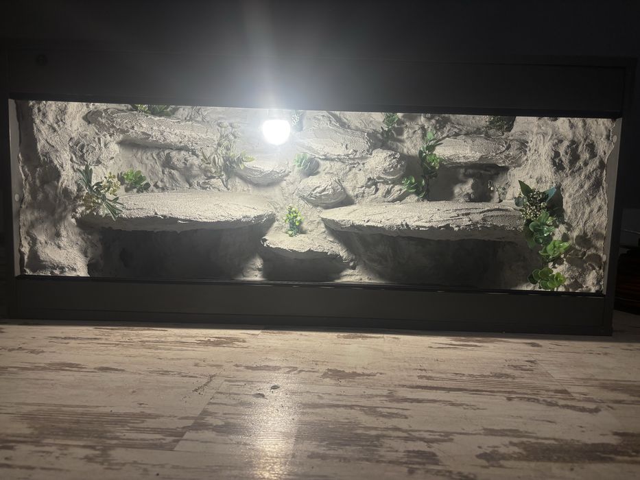 Terrarium dla agamy brodatej nr 1