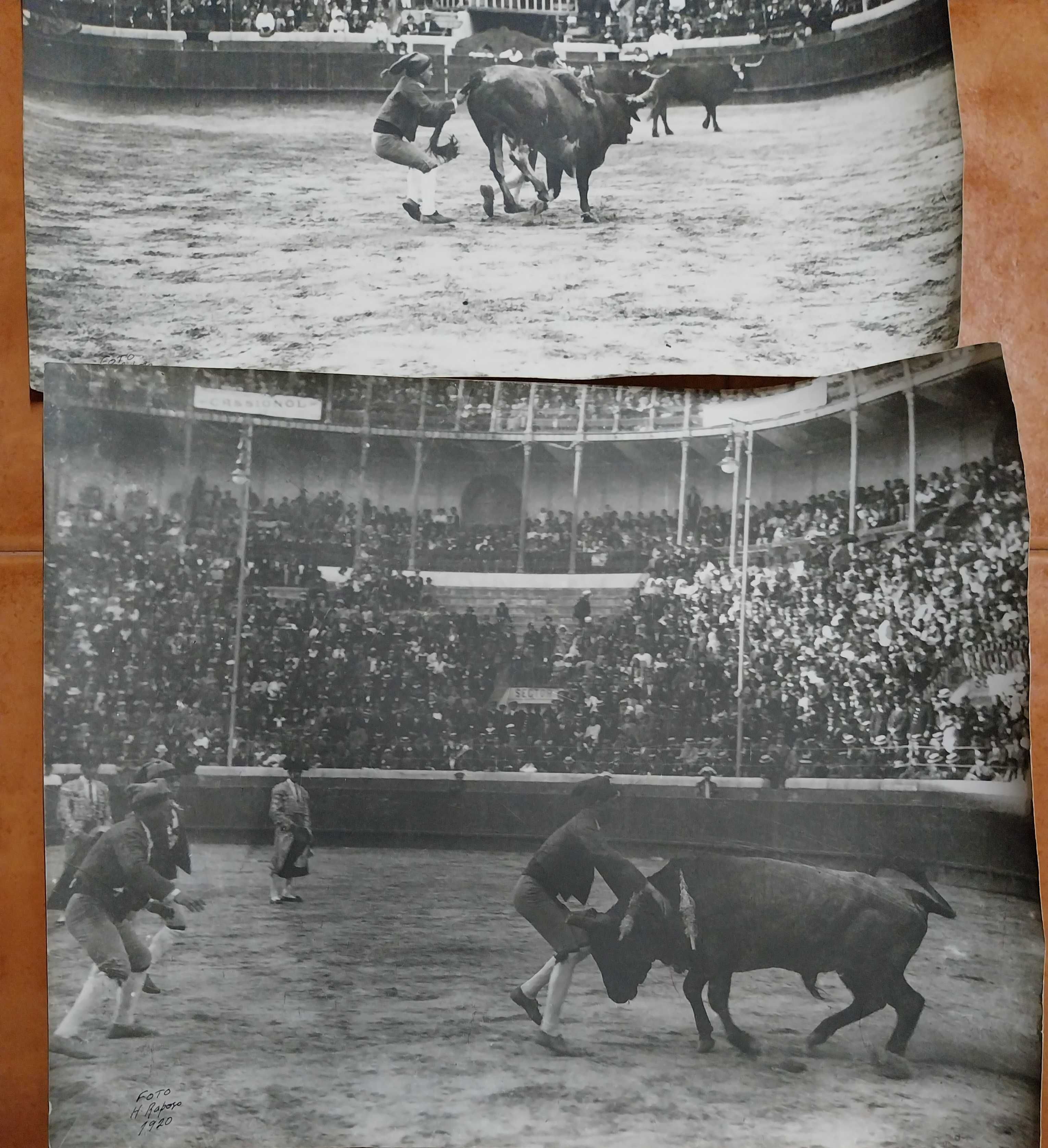 Tourada - Fotografias Antigas Grandes