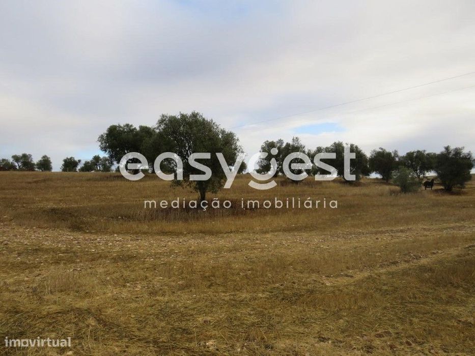 Terreno Rústico com 4,1 hectare em Rio de Moinhos concelho Aljustrel