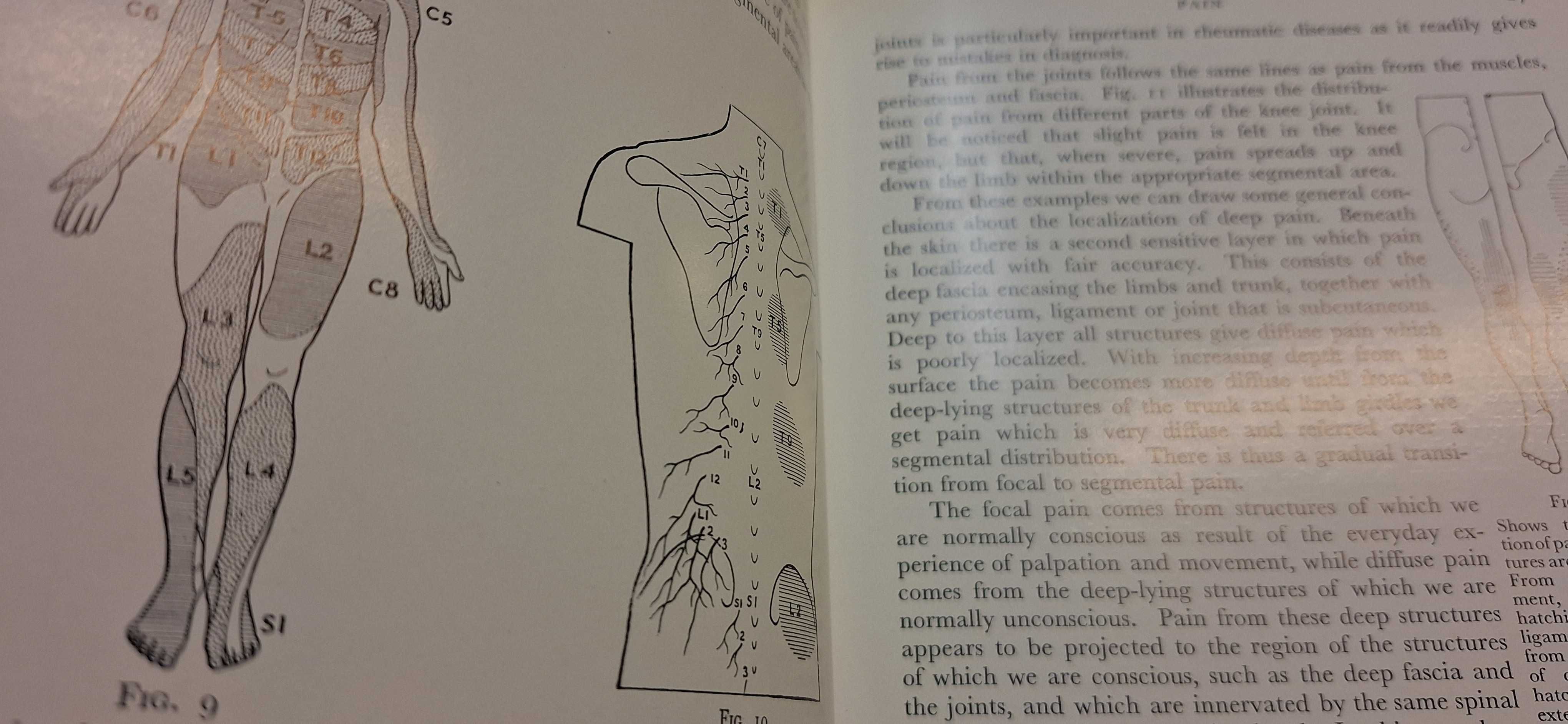 Medicina - Doenças Reumáticas