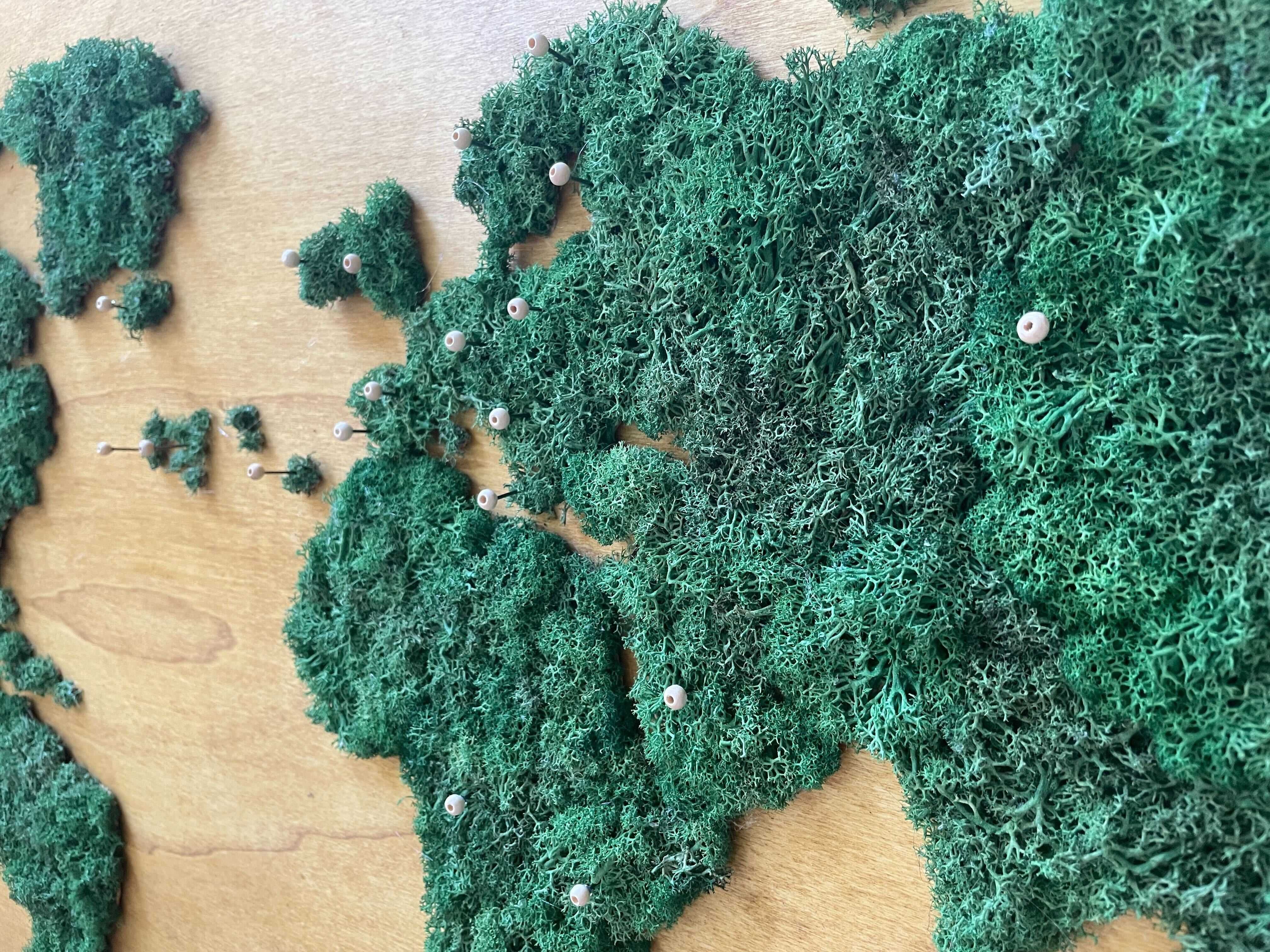 Mapa de mundo em musgo natural sobre madeira pins prenda natal