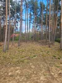 Działka letniskowa w Wieleniu przy centrum, 400m do plaży