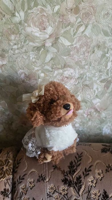 Собачка .гавкає і перекидається .В гарному стані.Все працює.