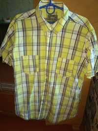 Рубашки с кор. рукавом Lorenzo Calvino, Identic, Consensus Sportwear