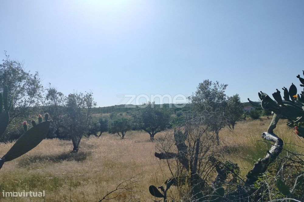 Vende-se terreno rústico em Cunheira, Alter do Chão