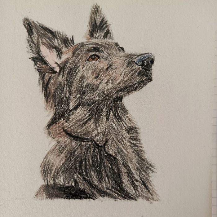 rysunki na zamówienie