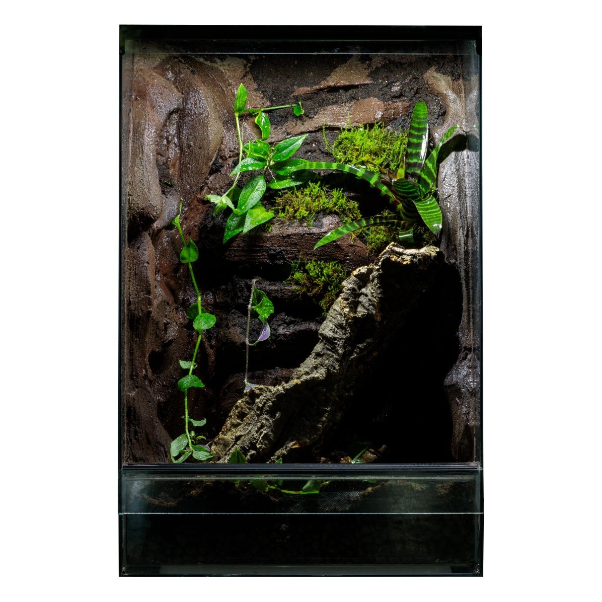 Terrarium 40x40x60