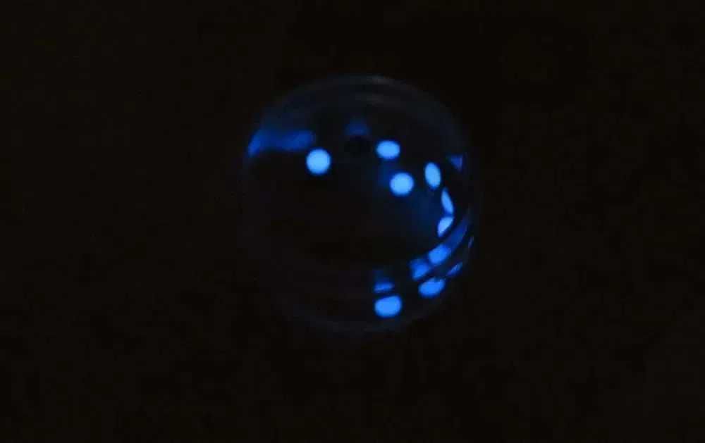 diver oczko luny z pierścienia bezel niebieska luminestencja
