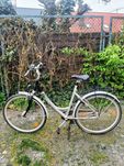 Rower damski Pegasus Riminis