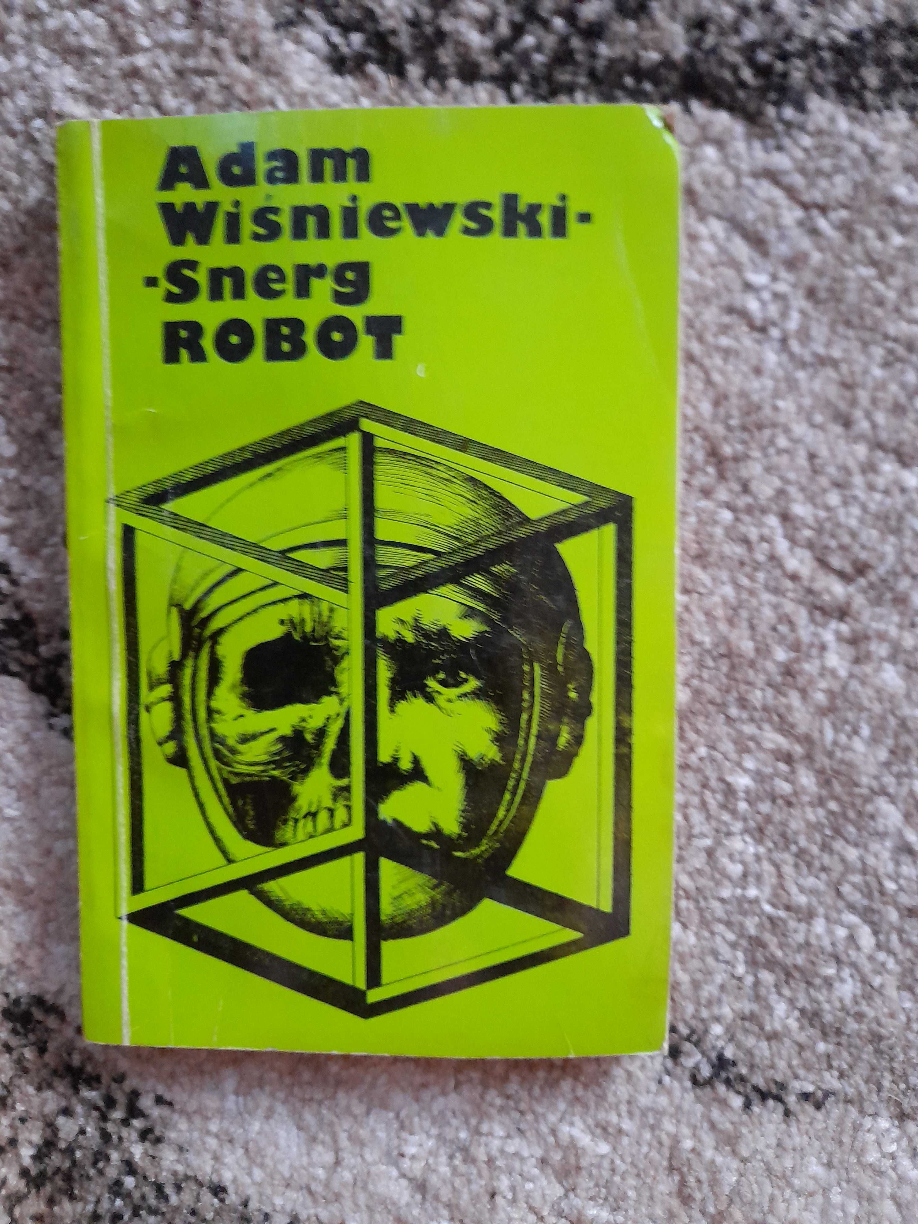 Snerg Robot Adam Wiśniewski