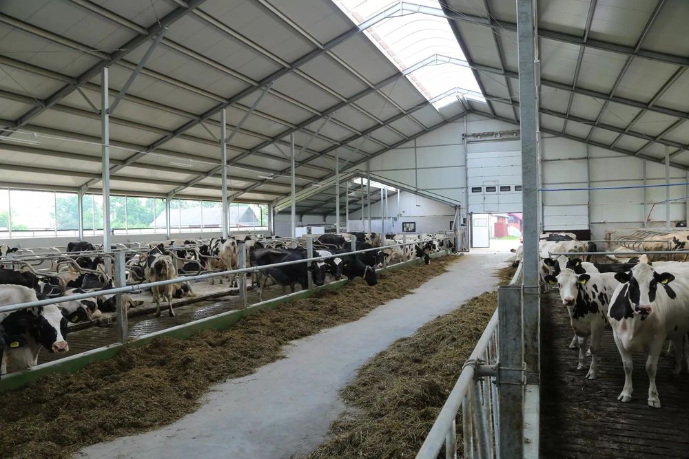 Mycie bielenie obór, kurników, elewacji, dezynfekcja białkowanie