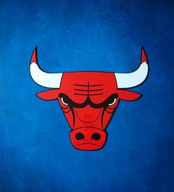 Herb Chicago Bulls dekoracja szyld do pokoju na ścianę gadżet prezent