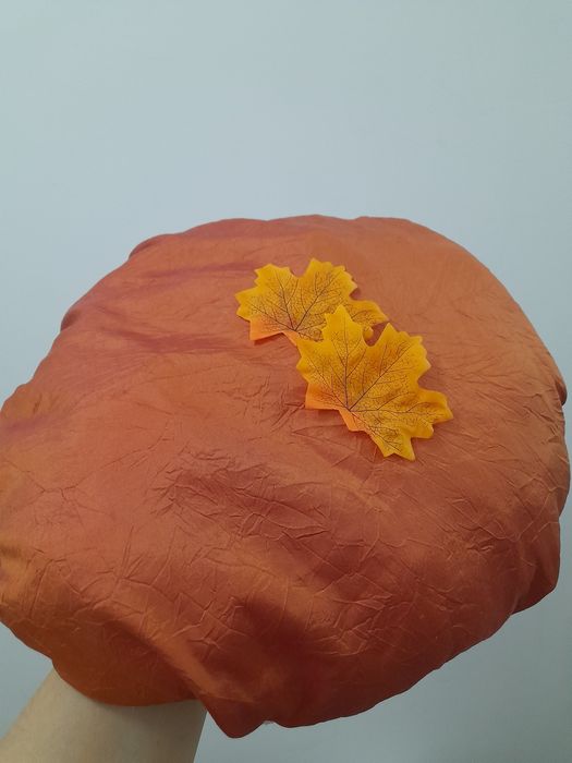 Шапка Гриб Боровик, підосичник, підберезовик. Шапка Гриба