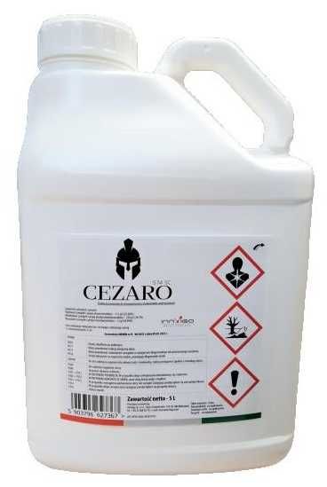 CEZARO 574 SC na miotłę chwasty w zbożach jesienią dawka 0,4l/ha