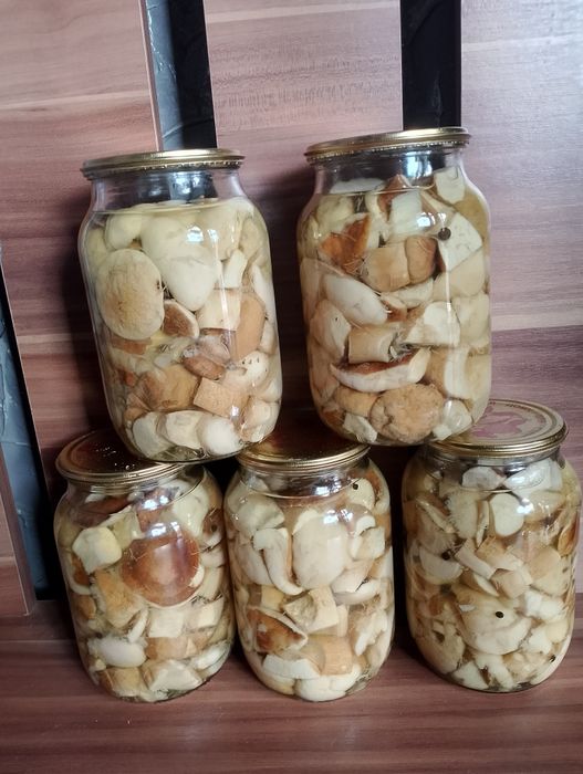 Продам мариновані грибочки