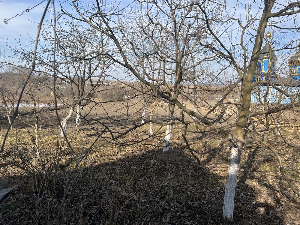 Продам дачу/будинок із земельними ділянками
