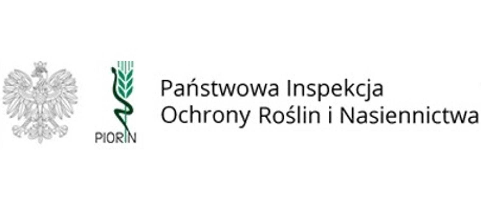Najlepsze truskawki na start sezonu – Postaw na Sprawdzone Odmiany!