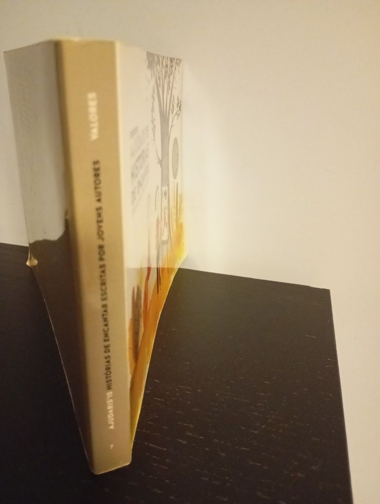 Ajudaris'15, jovens autores