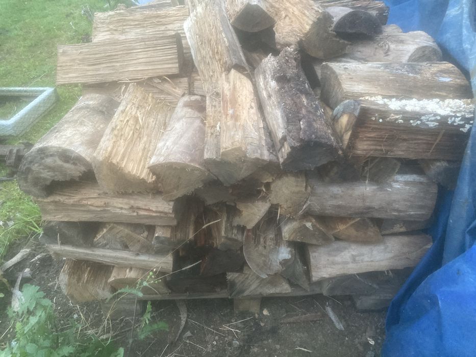 Vendo lenha seca