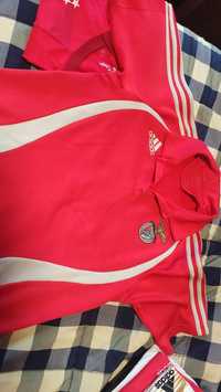 Polo do Benfica M/L