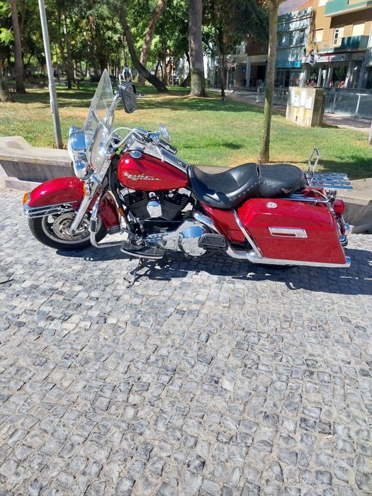 Road King vendo contrariado