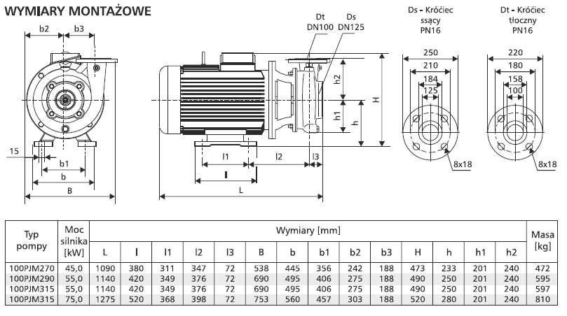 Pompa LFP 100  PJM 290  55kW 2900obr/min