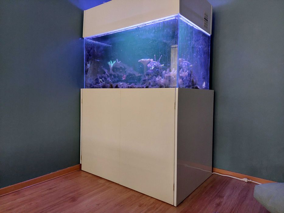 Akwarium morskie 300l 100x60x50h optiwhite sump