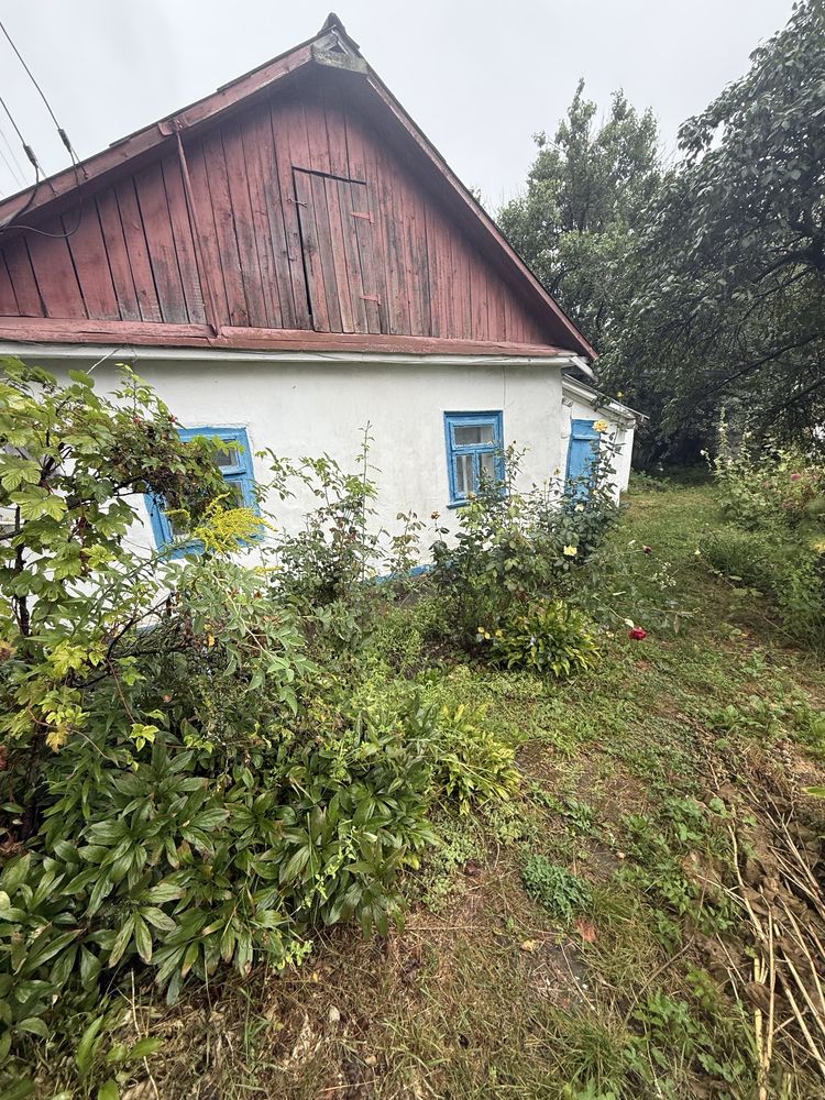 Продам земельну ділянку 20 соток із садом та городом
