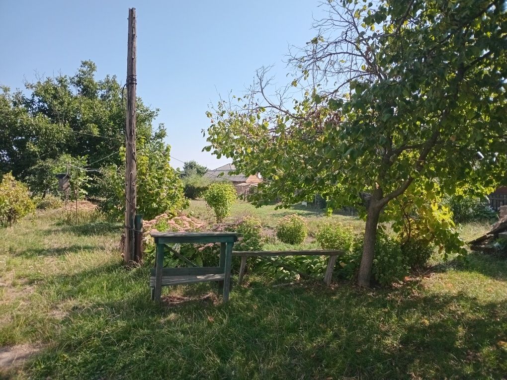 Продається будинок с. Звенигородка