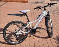 Rower Unibike Roxi 24 cale.
