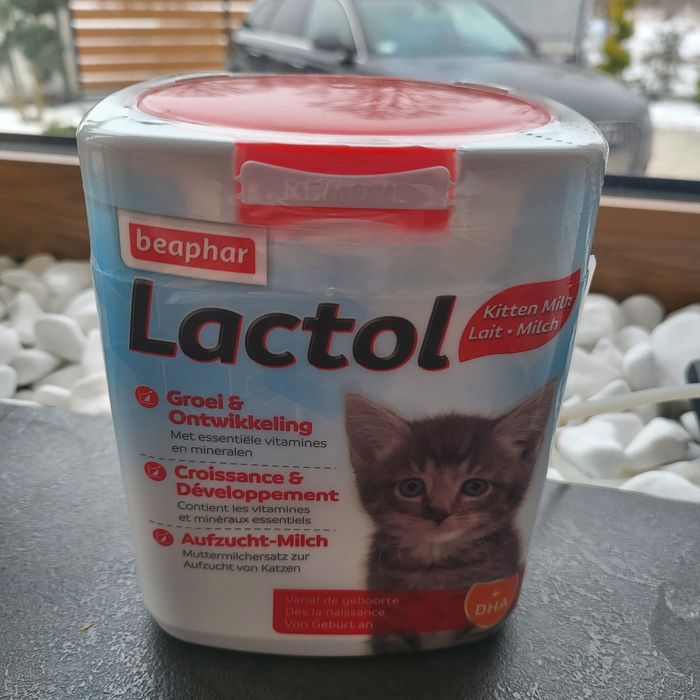 Lactol kitten mleko dla kociaków + zestaw butelek Nowe