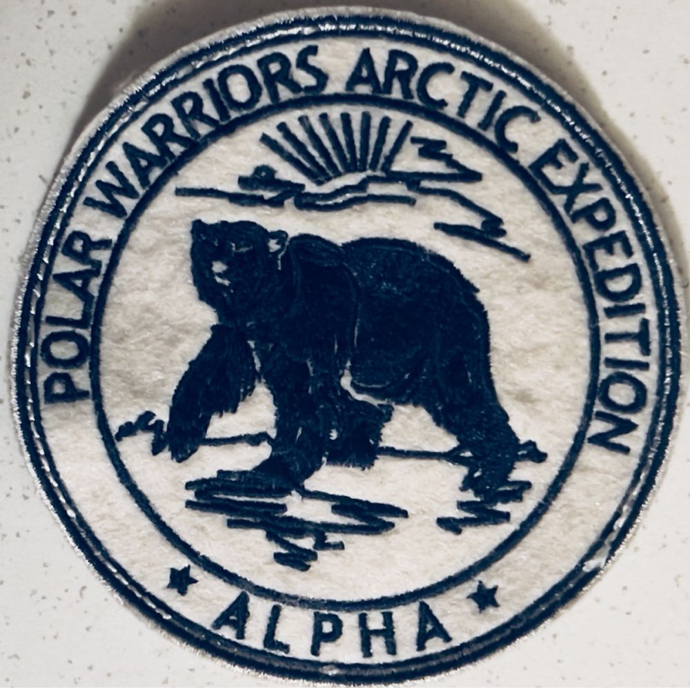 orginalne naszywki z kurtki Polar Jacket od Alpha Industries *2szt.