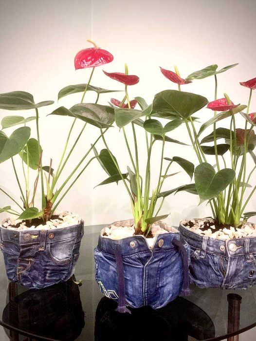 Кашпо под цветы, подарок, джинсовий  горщик  для квітів