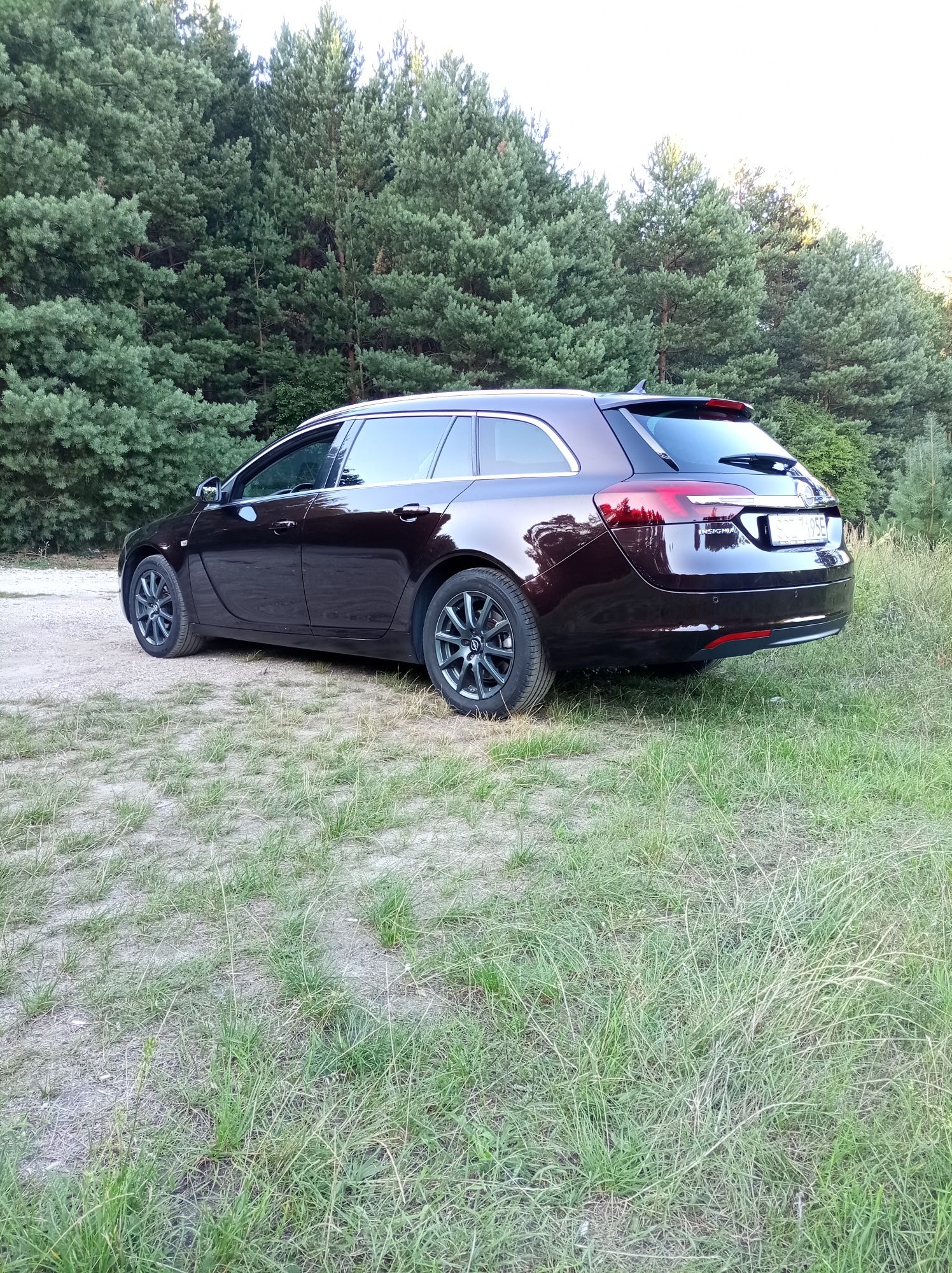 Opel Insignia 2.0 cdti, 2014r.