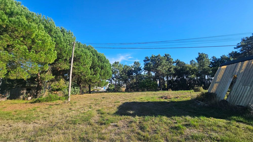 Arrendamento de Terreno em Parque Industrial – Pombal (até 3.600 m²)